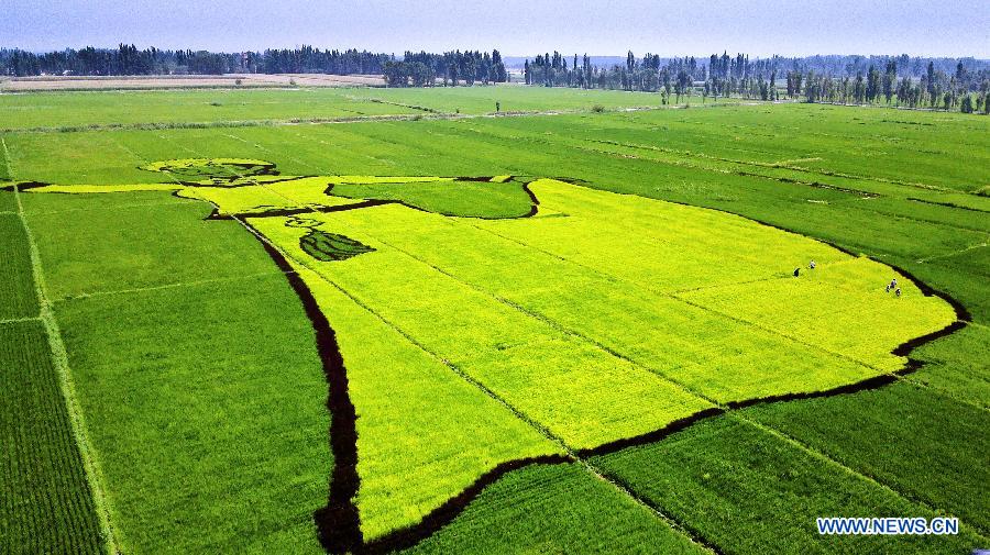 #CHINA-XINJIANG-ILI-PADDY FIELD PAINTING (CN)