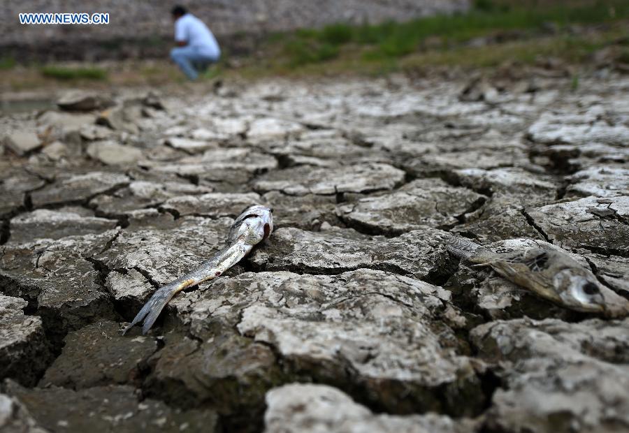 CHINA-LIAONING-DROUGHT (CN)