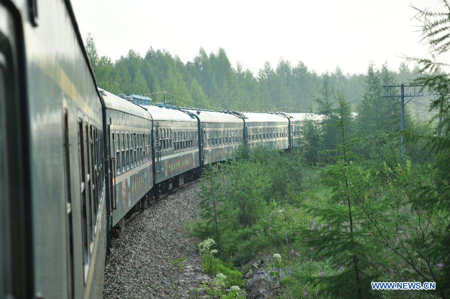 Photo taken on July 24, 2015 shows the sightseeing train named 'Taijia' going through forest in Hulunbuir, north China's Inner Mongolia Autonomous Region. 