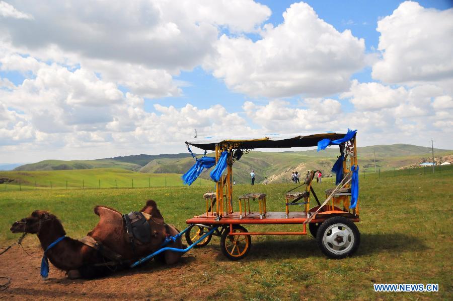 Tourists enjoy the scenery of the grassland near Ulanqab City, north China's Inner Mongolia Autonomous Region, July 24, 2015.