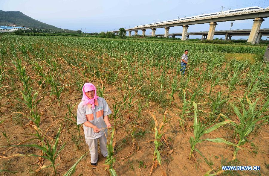 #CHINA-LIAONING-DROUGHT (CN) 