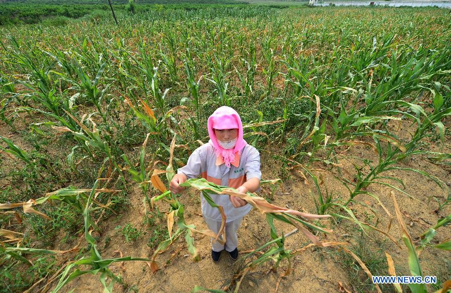 #CHINA-LIAONING-DROUGHT (CN) 