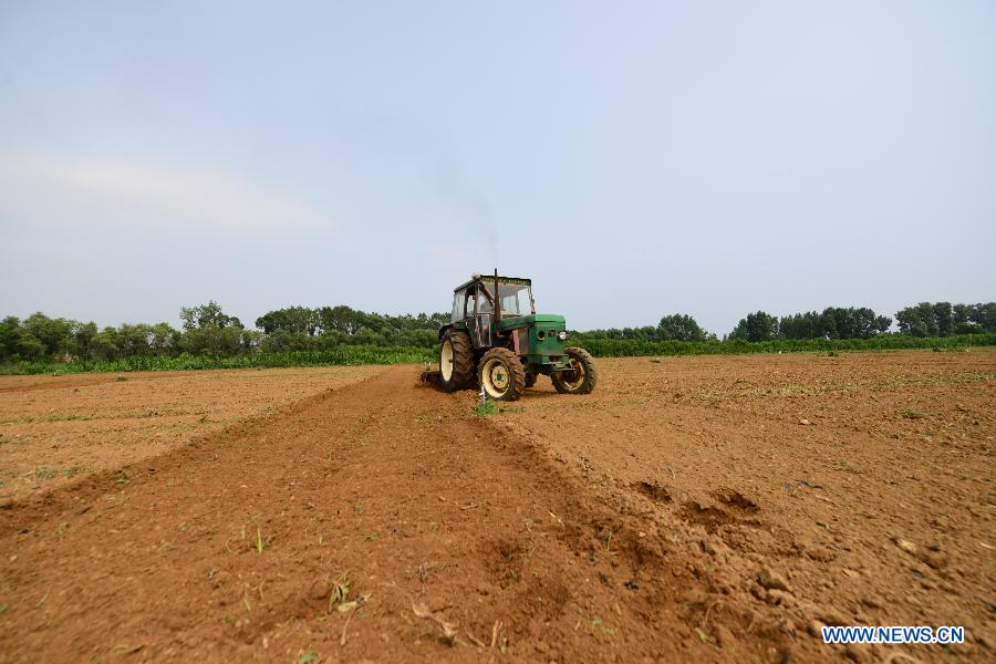 #CHINA-LIAONING-DROUGHT (CN) 