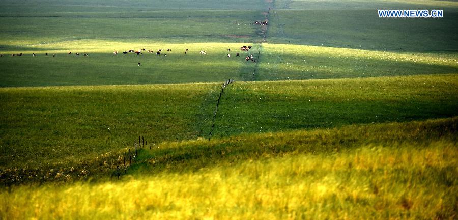 Photo taken on July 21, 2015 shows the scenery of a prairie in Abaga Banner, north China's Inner Mongolia Autonomous Region. 