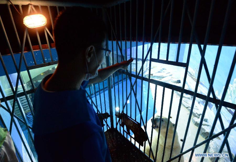 Polar bear trainer Dong Baoying trains a polar bear at a polarland in Harbin, capital of northeast China's Heilongjiang Province, July 30, 2015. Polar bear trainers, joked as the most dangerous profession in town by their colleagues, have to live and work with the polar bears weighing more than 500 kilograms and run at over 40 kilometers per hour maximum. Their work consists of measuring the bear's temperature, feeding and transferring. Despite the danger, the trainers at Harbin Polarland has established affinities with the beasts. (Xinhua/Wang Kai) 