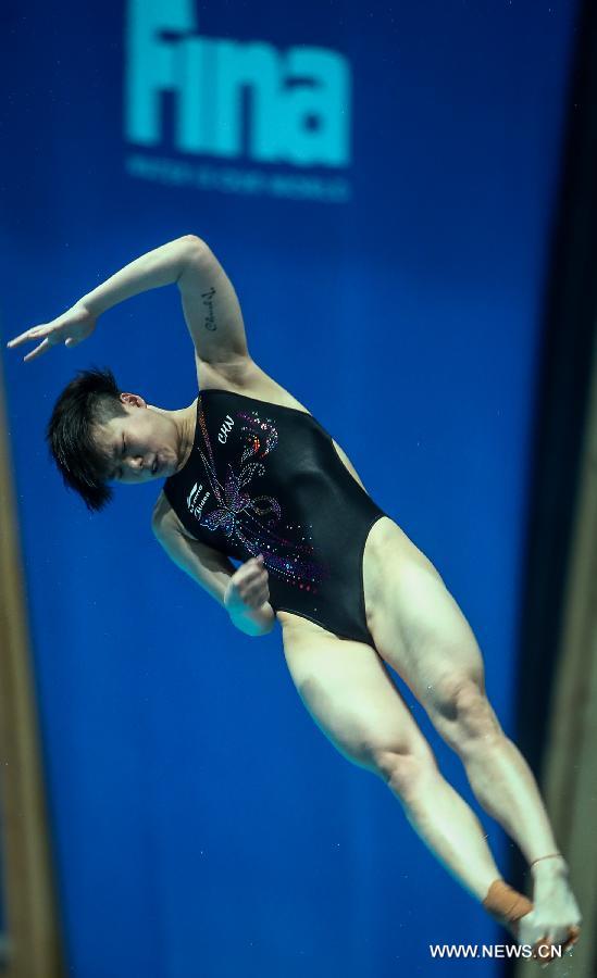 (SP)RUSSIA-KAZAN-FINA-WORLD CHAMPIONSHIPS-DIVING