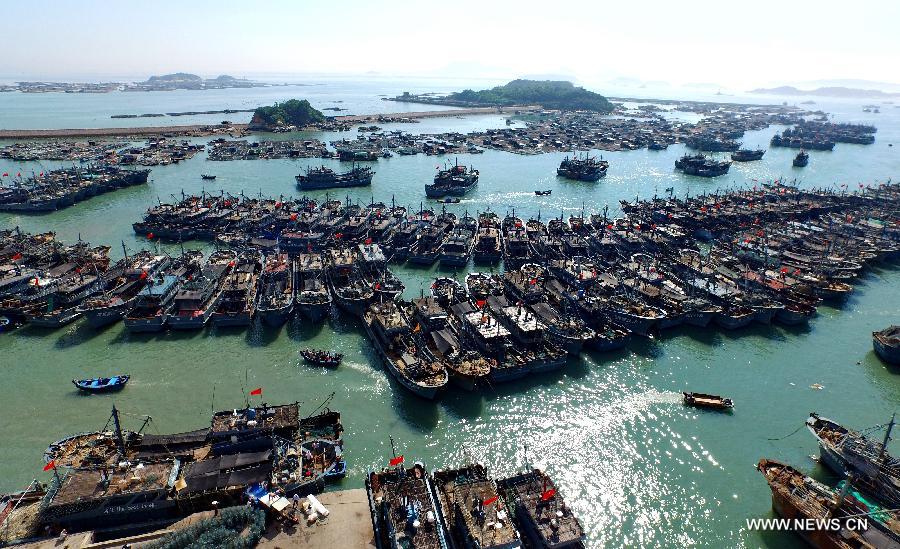 Fishing boats are ready to set sail from Tongling port in Dongshan County, southeast China's Fujian Province, Aug. 1, 2015. A three-month seasonal fishing ban in the sea area south of 26.5 degrees north latitude was lifted on Saturday. 
