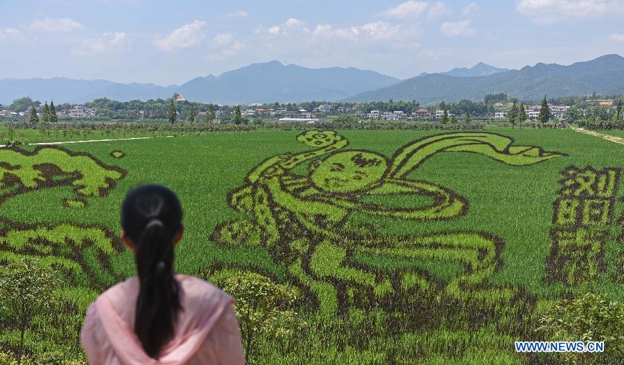 A woman views a paddy field art work which shows the image of a Chinese child in Meitian Village of Liuyang City, central China's Hunan Province, Aug. 5, 2015.