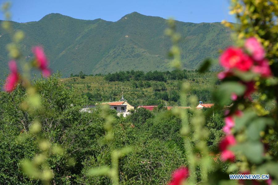A forest covers a village in Jingyuan County, northwest China's Ningxia Hui Autonomous Region, Aug. 6, 2015. 