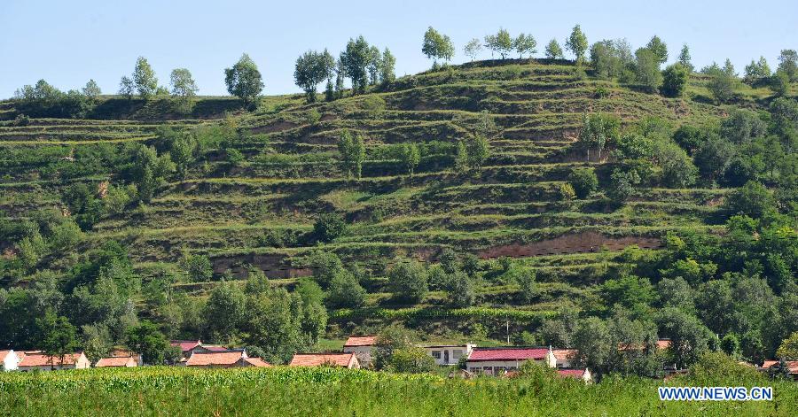 A forest covers a village in Jingyuan County, northwest China's Ningxia Hui Autonomous Region, Aug. 6, 2015. 