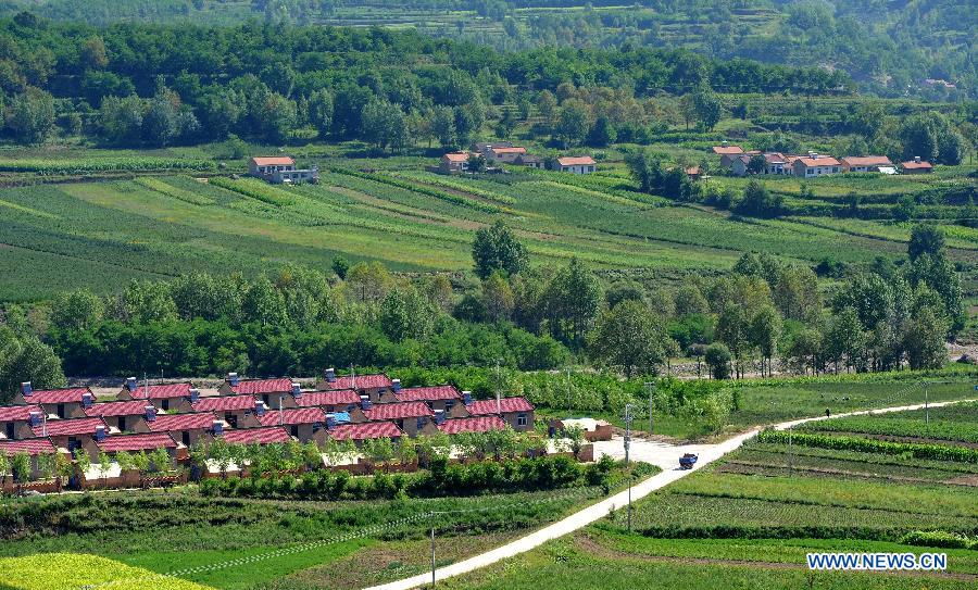 A forest covers a village in Jingyuan County, northwest China's Ningxia Hui Autonomous Region, Aug. 6, 2015. 