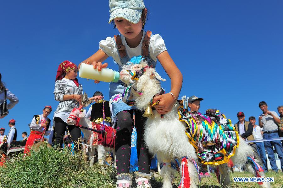 #CHINA-XINJIANG-HAMI-GOAT FAIR (CN)