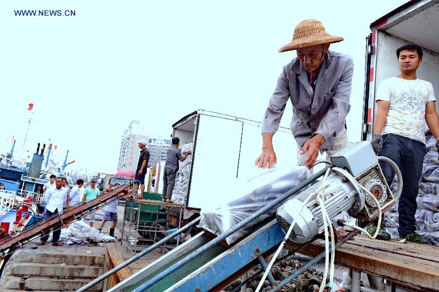 CHINA-FUJIAN-TYPOON SOUDELOR-FLOOD (CN)
