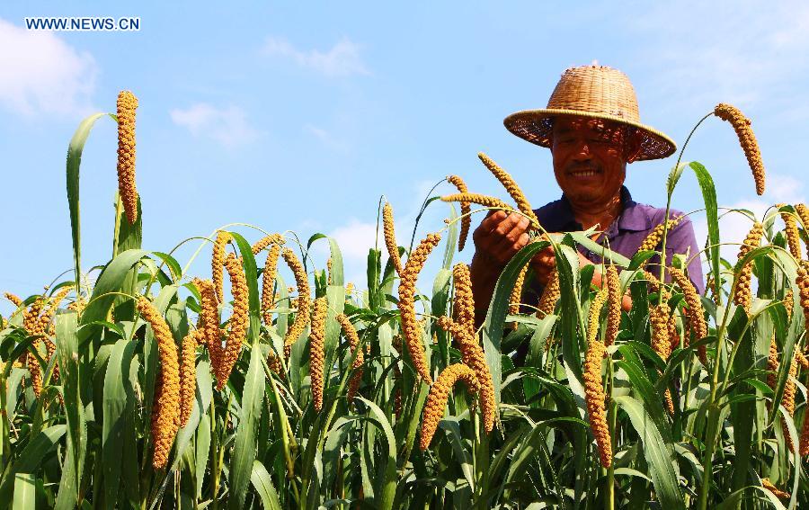 #CHINA-AUTUMN HARVEST-APPROACH (CN)