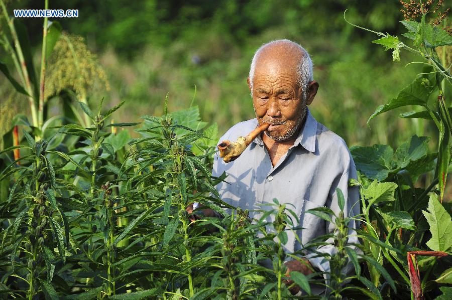 #CHINA-AUTUMN HARVEST-APPROACH (CN)