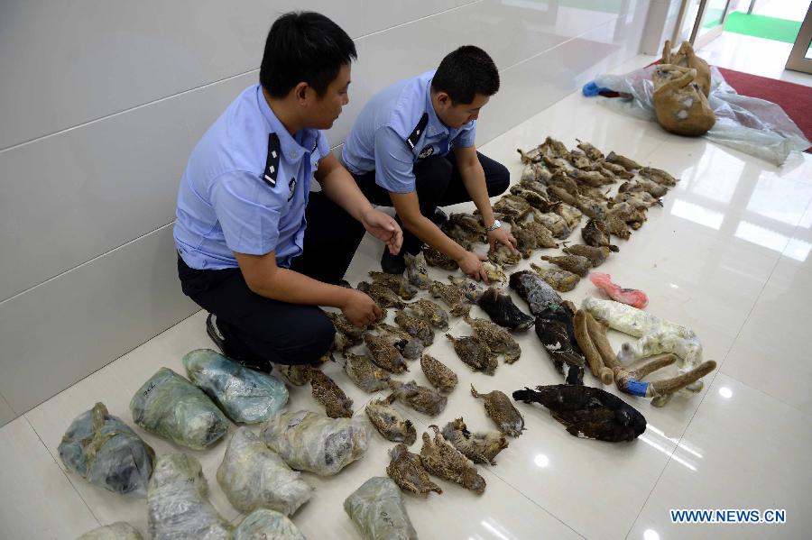 CHINA-QIQIHAER-WILD ANIMAL TRAFFICKING-SEIZURE (CN)