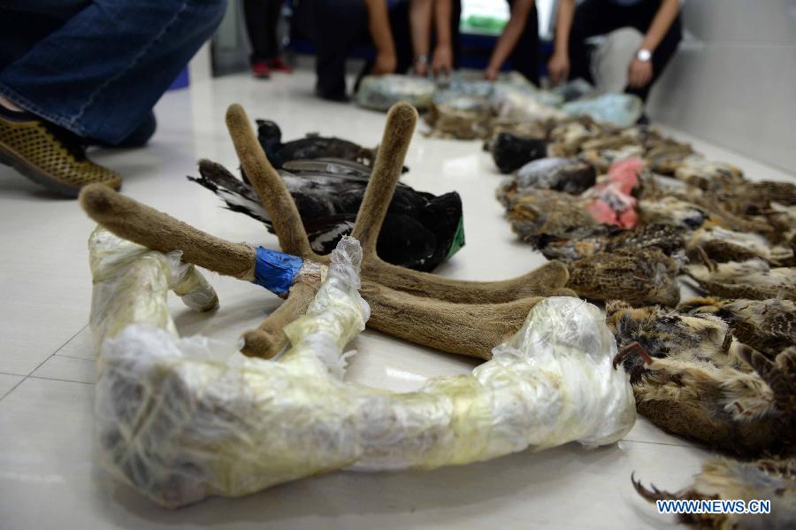 CHINA-QIQIHAER-WILD ANIMAL TRAFFICKING-SEIZURE (CN)