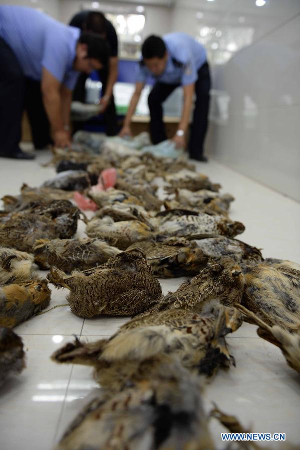 CHINA-QIQIHAER-WILD ANIMAL TRAFFICKING-SEIZURE (CN)