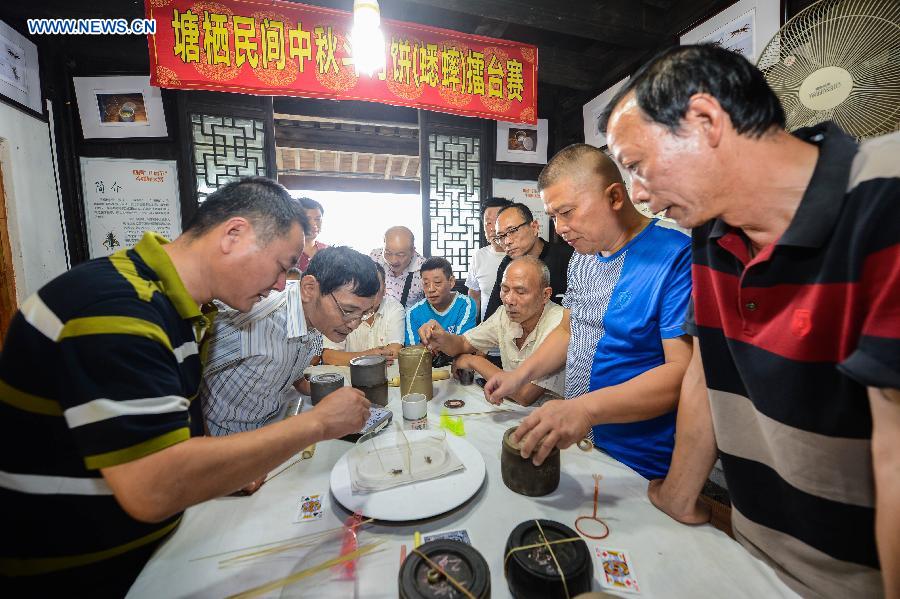 Local residents play cricket fighting to celebrate the coming Mid-Autumn Festival in Tangxi Town of Hangzhou, east China's Zhejiang Province, Sept. 24, 2015. 
