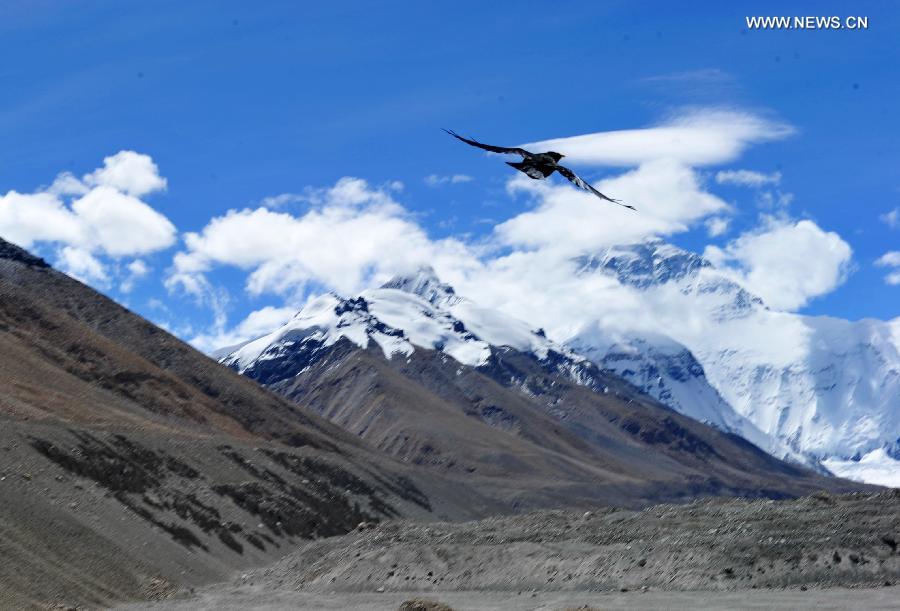 Tourists attracted by Mount Qomolangma in autumn