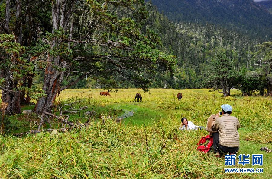 西藏:林芝森林覆盖率达到51.95%