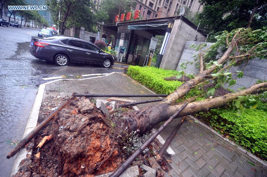 CHINA-FUJIAN-PUTIAN-TYPHOON DUJUAN (CN)
