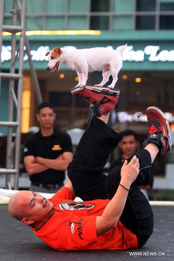 World Animal Day is celebrated annually on Oct. 4 which aims to raise global awareness of animal rights and welfare.