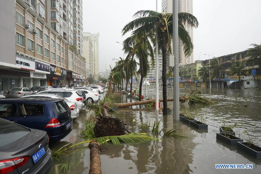 CHINA-ZHANJIANG-TYPHOON MUJIGAE (CN)