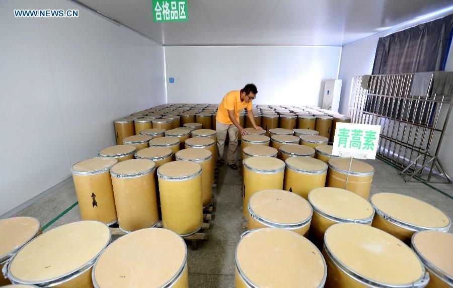 A staff member checks barrels of artemisinin at a storehouse of a company in Rong'an County, south China's Guangxi Zhuang Autonomous Region, Oct. 9, 2015. 