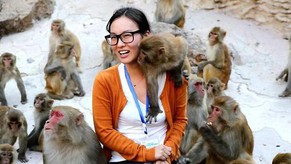 Monkeys grabbing a handful of breasts