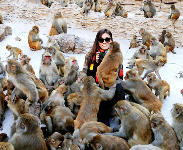 Monkeys grabbing a handful of breasts