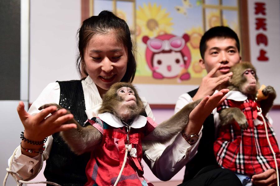 CHINA-JINAN-MACAQUE-PERFORMANCE (CN)