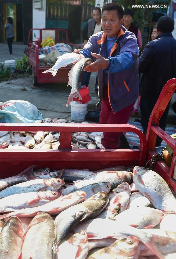 CHINA-ANHUI-FISHING SEASON-START (CN)