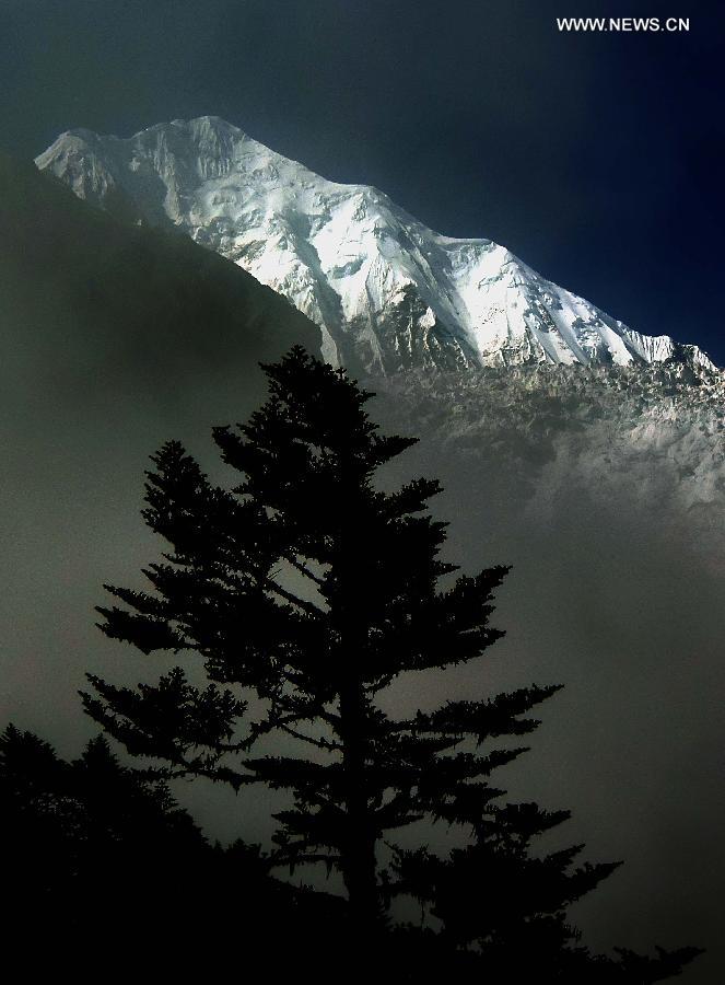 Gonggar Mountain is seen from Hailuogou National Glacier Forest Park in southwest China's Sichuan Province, Oct. 28, 2015. 