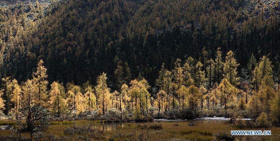 CHINA-SICHUAN-LANDSCAPE(CN)