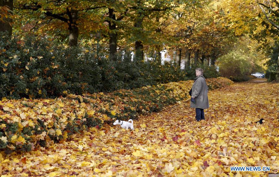 An old woman walks with her dog at a park in Brussels, Belgium, Oct. 30, 2015.