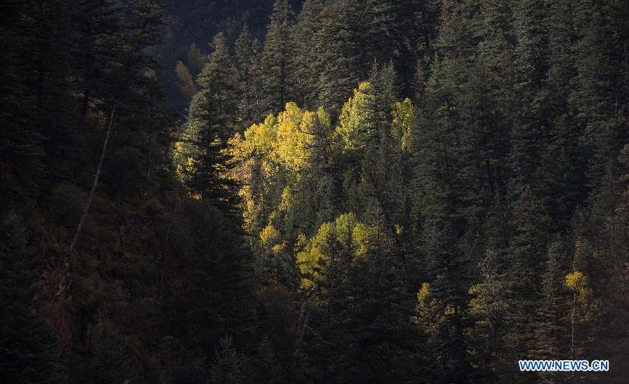 CHINA-SICHUAN-LANDSCAPE(CN)