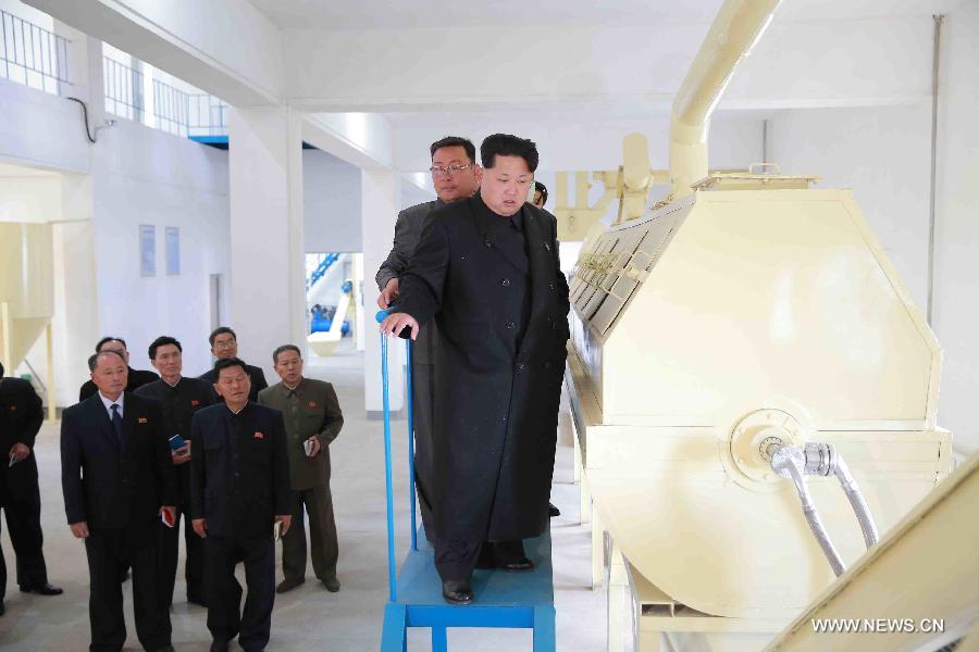 Photo provided by Korean Central News Agency (KCNA) on Oct. 31, 2015 shows top leader of the Democratic People's Republic of Korea (DPRK) Kim Jong Un (front) giving field guidance to the Pyongyang Catfish Farm in Pyongyang, DPRK. 