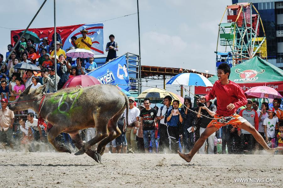 WEEKLY CHOICES OF XINHUA PHOTO