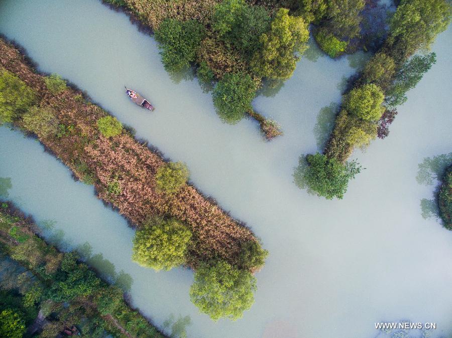 CHINA-HANGZHOU-XIXI WETLAND-SCENERY (CN)