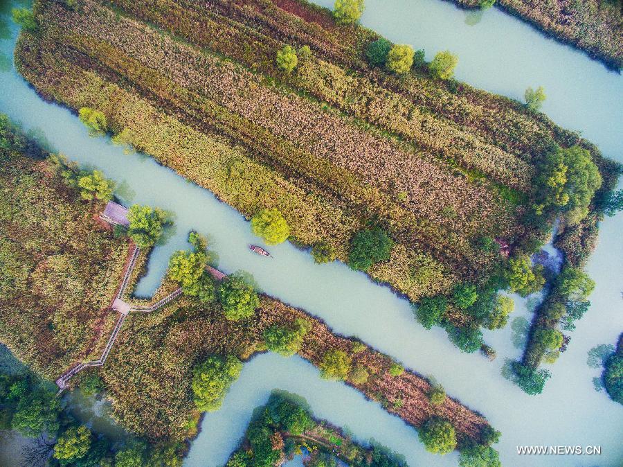 CHINA-HANGZHOU-XIXI WETLAND-SCENERY (CN)