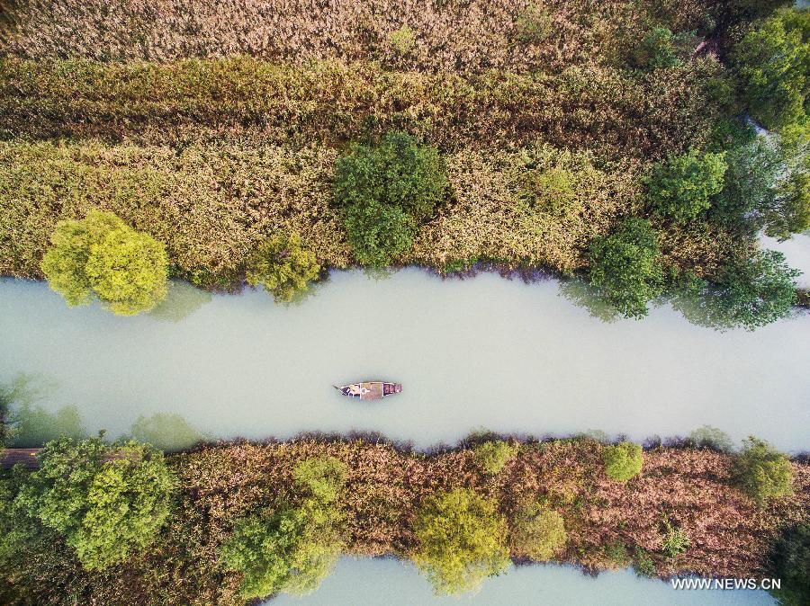 CHINA-HANGZHOU-XIXI WETLAND-SCENERY (CN)