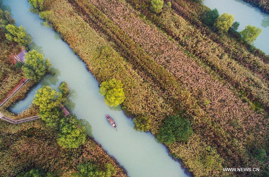 CHINA-HANGZHOU-XIXI WETLAND-SCENERY (CN)