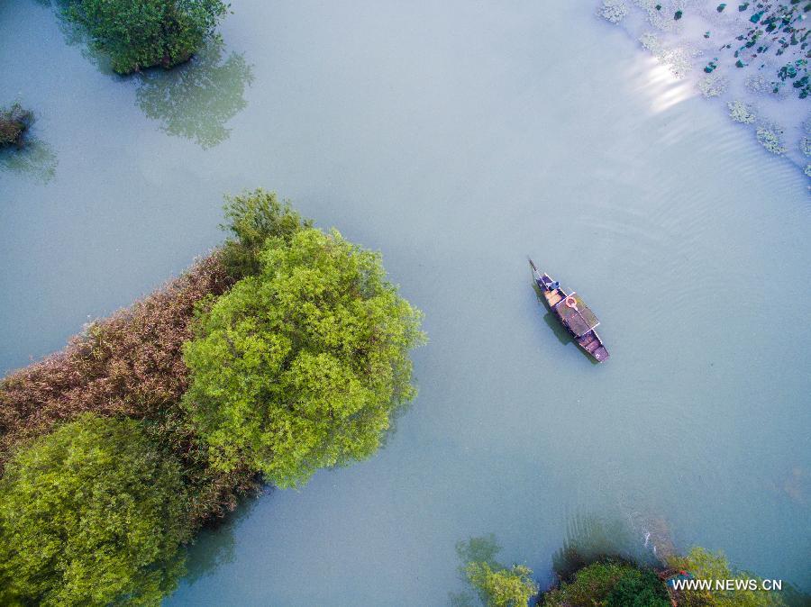 CHINA-HANGZHOU-XIXI WETLAND-SCENERY (CN)