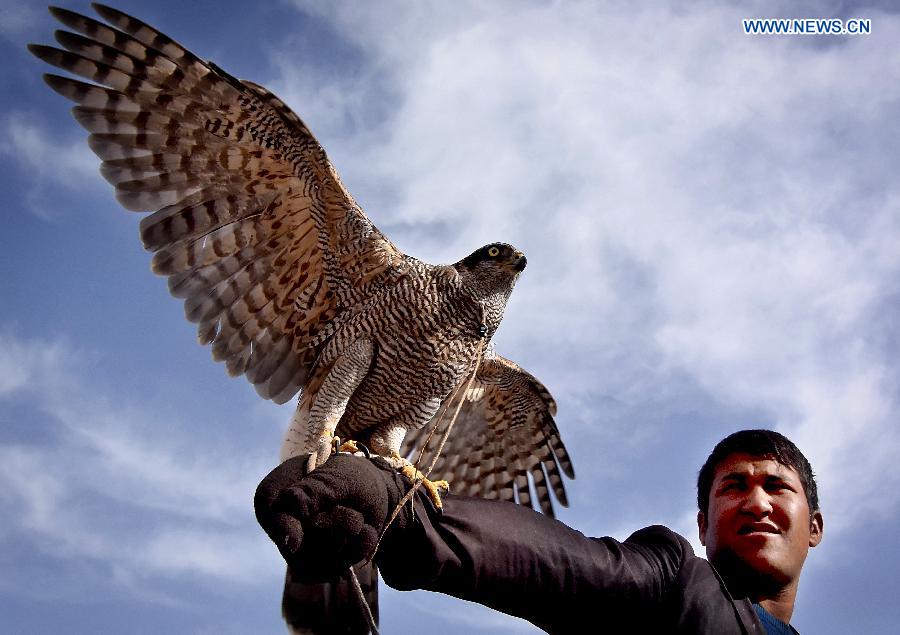 WEEKLY CHOICES OF XINHUA PHOTO