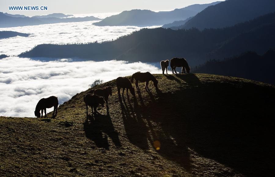 CHINA-SICHUAN-BAOXING-SCENERY (CN)