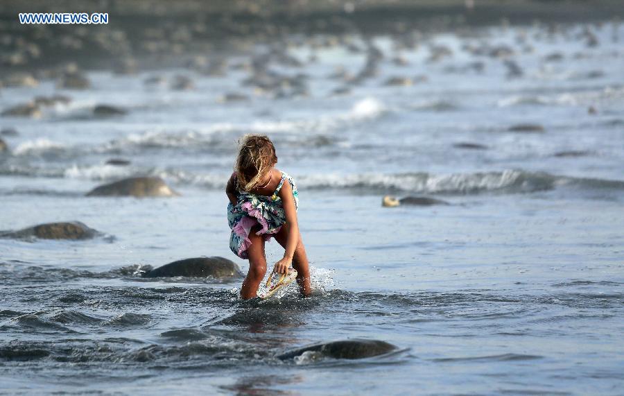 COSTA RICA-OSTIONAL BEACH-ENVIRONMENT-TURTLES-EGGS