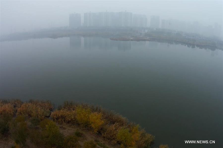 Beijing government issued a yellow signal warning against heavy pollution as smog cloaked the city on Friday