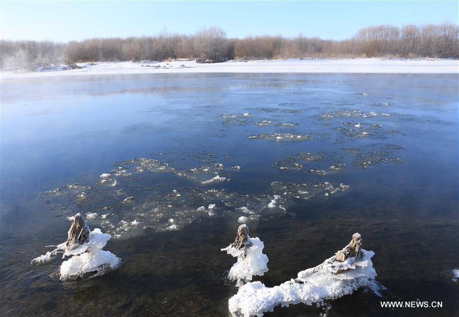 Photo taken on Nov. 21, 2015 shows the winter scenery near a river in Greater Khingan range in northeast China's Heilongjiang Province