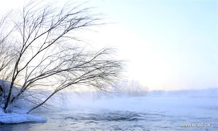 Photo taken on Nov. 21, 2015 shows the winter scenery near a river in Greater Khingan range in northeast China's Heilongjiang Province